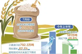 国际米价高企，专家：中国大米产大于需，对我国影响有限图片