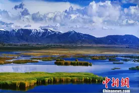 人这一辈子，一定要去一趟阿勒泰！图片