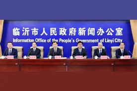 “一个扁担挑两头”，推动临沂商城国际化数字化改革图片