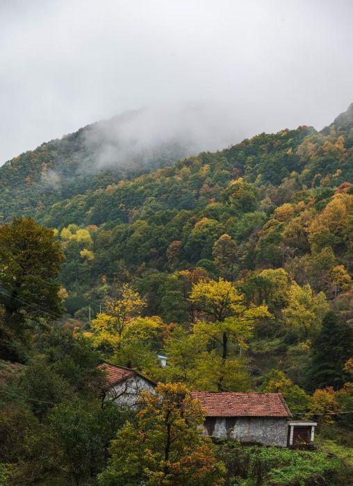 华亭关山多彩林海 解锁陇东最浓秋意