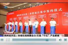 【建设示范区 建功先行区】荆州经开区：市场化招商聚合力 打造“千亿”产业新城图片