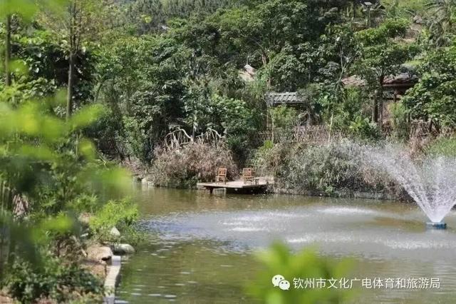 元旦嗨玩钦州，专属景区优惠合集来啦~