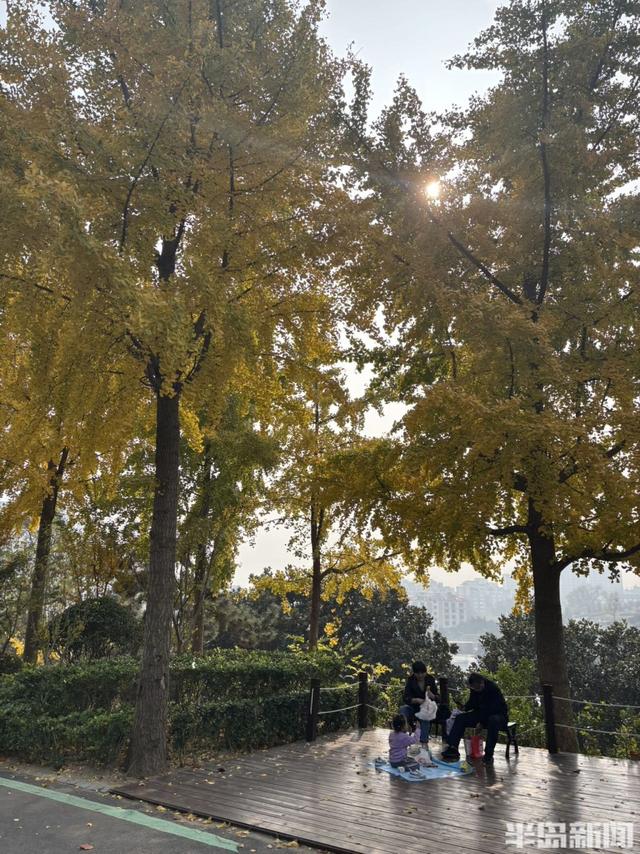 浮山南麓，藏着青岛最美冬日