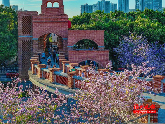 绝美！福州网红打卡地，火了！很多人正赶去……