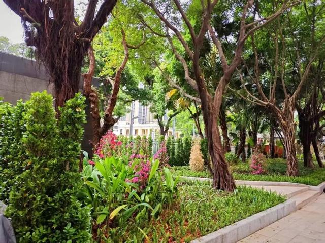 解闷必备！老城区徒步路线+2，探秘“百变”视觉廊道！