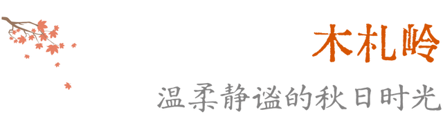 待天晴，看洛阳漫山姹紫嫣红→