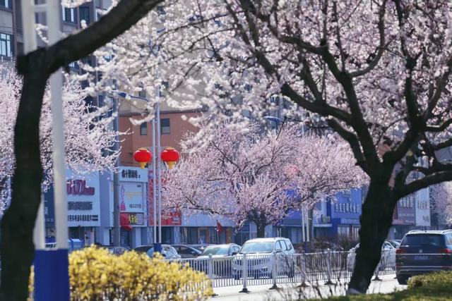 “动”“静”两相宜～颜值天花板～