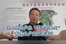 视频｜科技赋能茂名荔枝产业，新质生产力热潮涌动图片