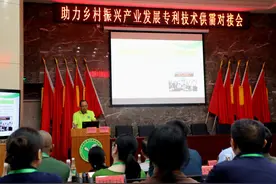 第二种可人工栽培牛肝菌品种在西双版纳亮相图片