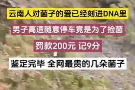 高速路拥堵时应急车道究竟能不能走？开屏新闻为你全面解析图片