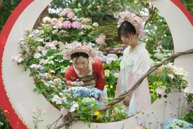 蝶舞、夏未央、蹁跹舞………给浙江最新培育绣球花取名，脑洞这么大图片