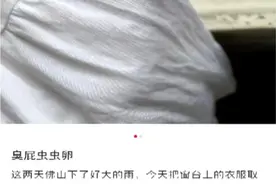麻了！难道是“广东特产”？佛山已有人崩溃：家里太多了……碰上了会红肿！图片