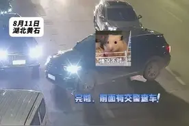 酒驾逃跑，跑进了交警怀里……交警：来！抱！图片