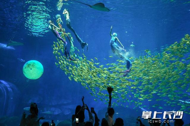 湘江欢乐海洋国潮来袭，水下“嫦娥奔月”引爆双节人气丨组图