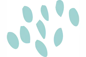 非遗游园会、音乐节、工美展……北京五一必玩城市活动大合集！图片