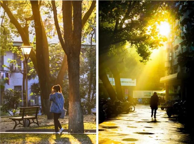 最好的秋天，在华师！