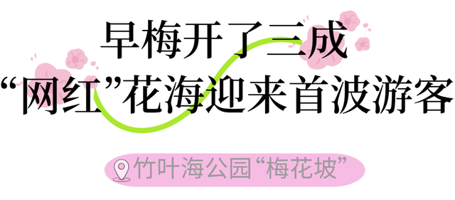 气温直冲20℃！第一波赏花的人已出发