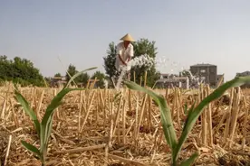 今夏北方比南方更热？多地突破高温极值，高温城市还将增多？图片
