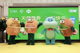 春日上新 当季新西兰奇异果抵沪图片