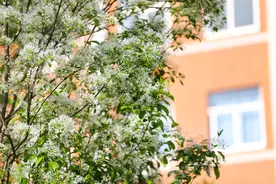 “山东邂逅美”摄影大赛｜校园春色浓图片