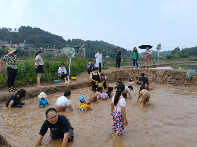 简阳AAA级林盘景区+1！