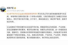 “不如比亚迪、特斯拉”！三大汽车央企新能源业务将被单独考核 专家：有望带来规模化促进效应图片