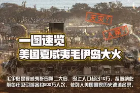 天灾？人祸？一图速览美国夏威夷毛伊岛大火图片