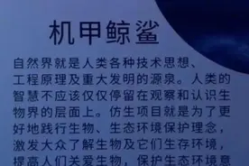 买票去深圳一海洋馆，看的却是机器鱼？有人感觉被骗，但真相更揪心图片