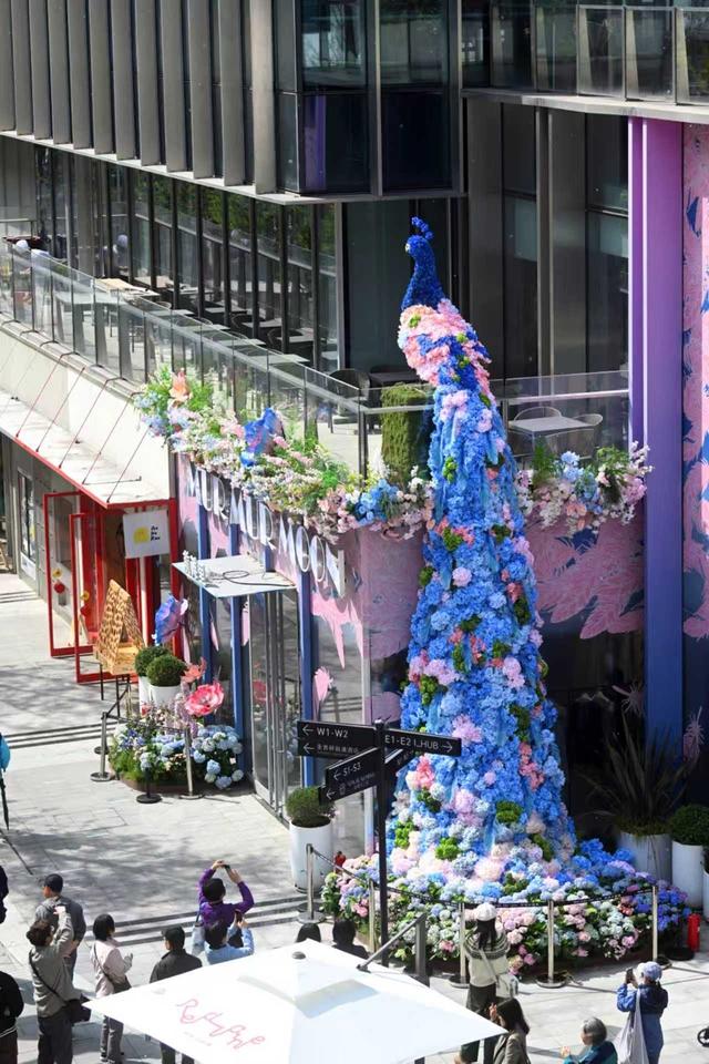 繁花绽浦东！2026上海国际花卉节浦东分会场将启幕