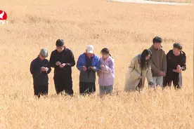 【视频新闻】大学生西部计划志愿服务为边疆热土注入新活力视频封面