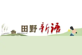 田野新语｜大棚婚礼，属于新农人的人生仪式图片