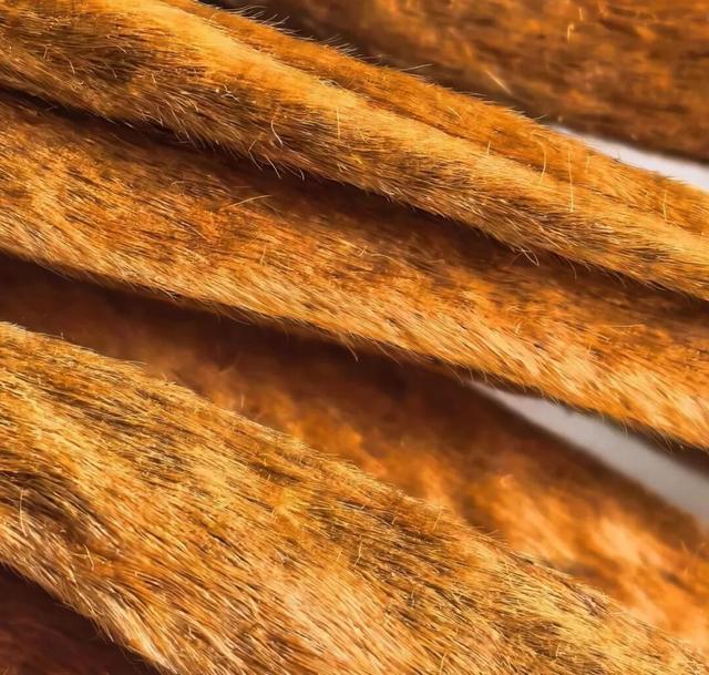 在华为Mate X7上，瞥见折叠屏进化的终极答案