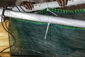 全国首个水獭主题科普馆在舟山开馆图片