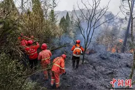 清明假期“不打烊”：民间救援组织24年守护青山图片