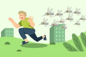 为何蚊子专叮你？专家说，是这几种“味道”在作祟！防蚊必看图片