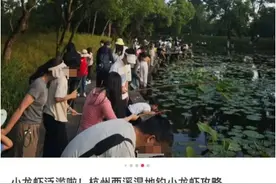 西溪湿地能钓小龙虾？官方回应：明令禁止!图片