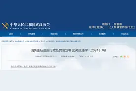 李尔汽车零件（武汉）有限公司违规案行政处罚公示图片