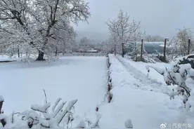 西安这里中到大雪！陕西部分高速收费站入口临时管控→图片