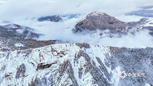 甘肃扎尕那雪后初霁 石林云雾相映成画