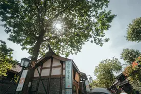 成都青羊入选2025中国市辖区旅游综合竞争力百强区图片