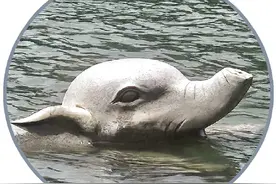 象山景区这只网红小象，鼻子怎么断了一截？景区回应：待水位下降后择日修复图片