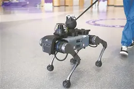 电子导盲犬、智能仿生手…让残障人士开启“无碍”生活图片