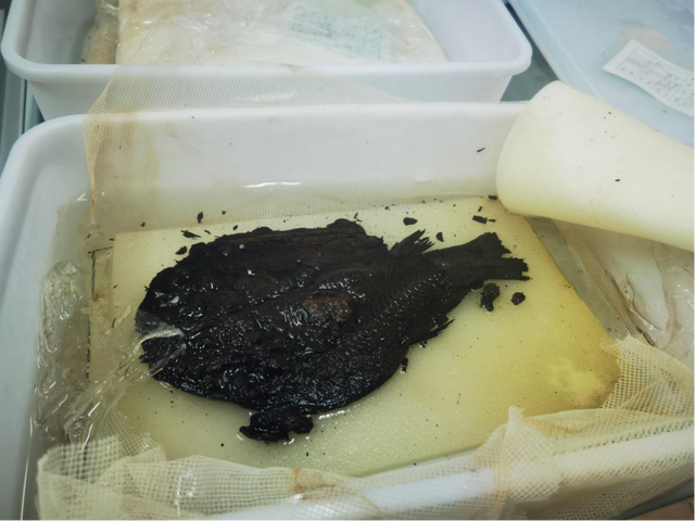 “中国淡水渔业第一市”荆州，邀你过一个鲜美的秋天
