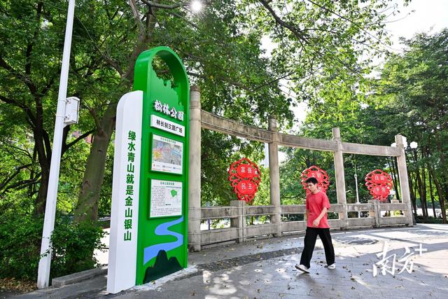 清新百步梯林长绿美园焕新：设施提质、生态扩容、宣教升级