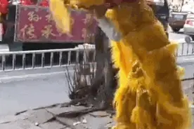 英歌小女孩和舞狮小女孩，故事里的“情不自禁”最动人图片