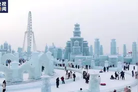 世界看两会丨尼日利亚青年：中国变化太快 我差点没认出母校图片