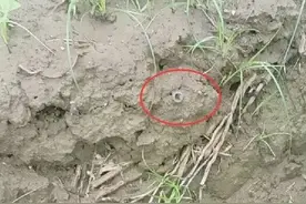 大雨后，十堰男子在水边捡到的！专家：约1800年历史图片