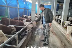 桐梓：牵着“牛鼻子” 过上好日子图片