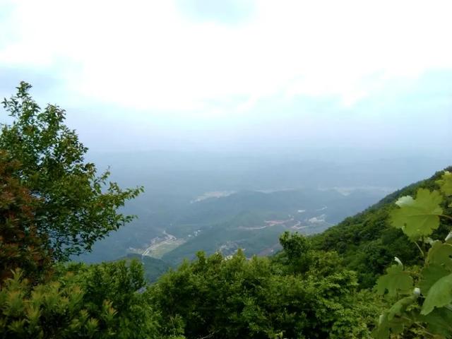 株洲南部的大山深处，曾有一个“小香港”