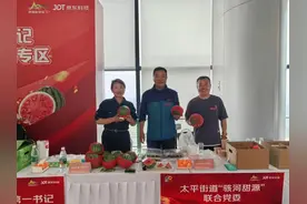 跨村联建聚合力 济南起步区太平街道绘就振兴新图景图片